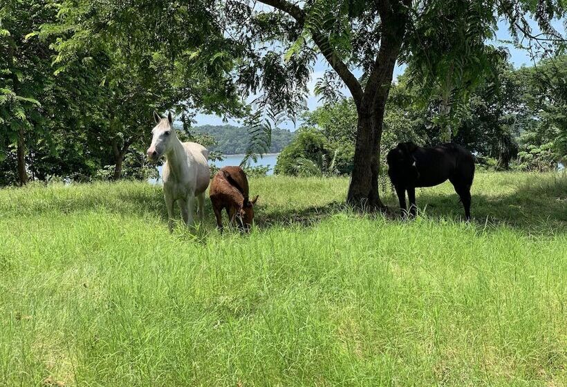 בית מלון כפרי Boca Brava Paradise