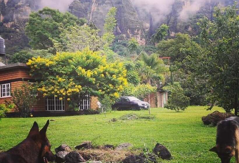 ペンション Posada Meztitla