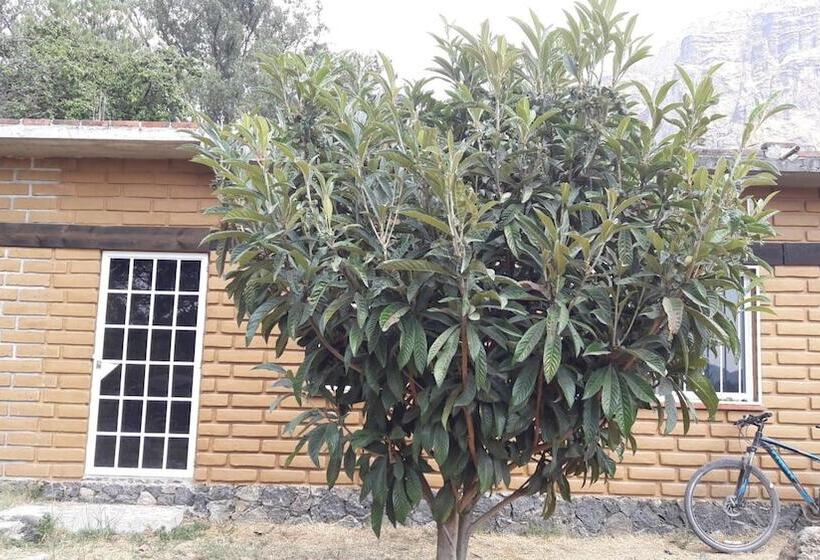 ペンション Posada Meztitla