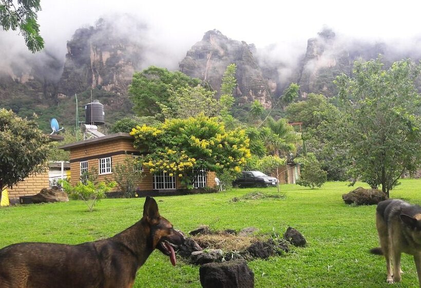 ペンション Posada Meztitla