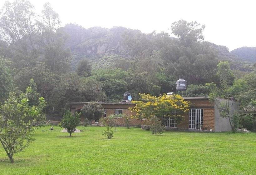 ペンション Posada Meztitla