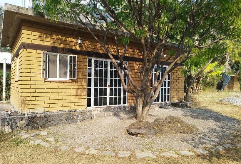 ペンション Posada Meztitla