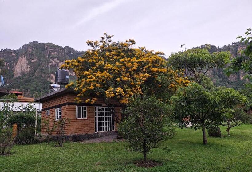 ペンション Posada Meztitla