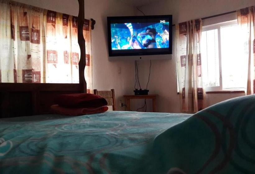 ペンション Posada Meztitla