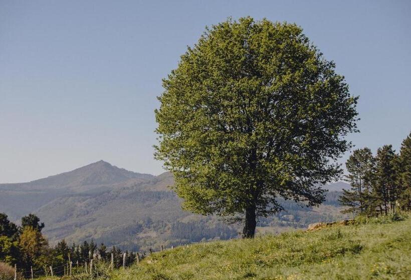 Amalurra Ecohotel & Retreat Center