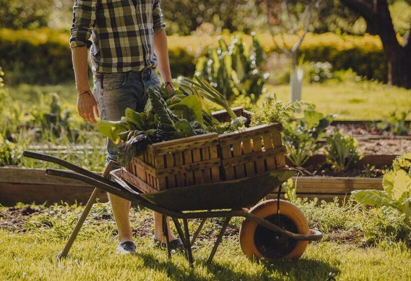 Amalurra Ecohotel & Retreat Center