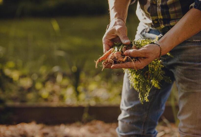 Amalurra Ecohotel & Retreat Center