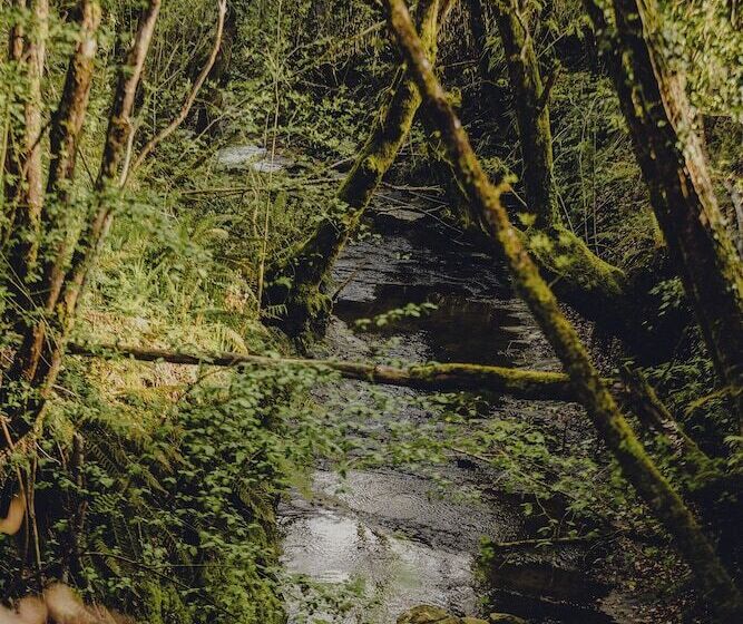 Amalurra Ecohotel & Retreat Center