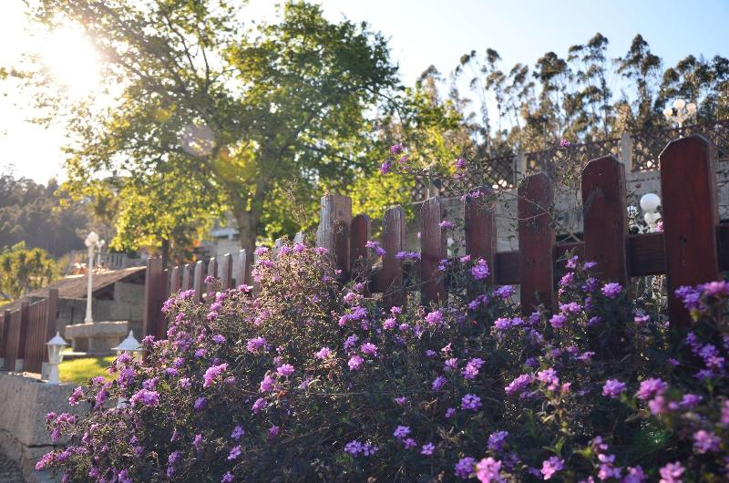 Casa Antiga Do Monte