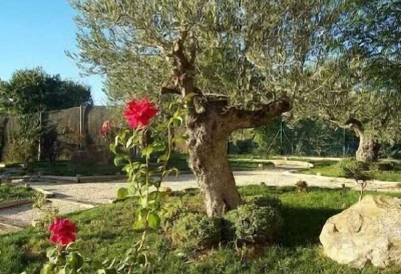 פונדק Hostería De Guara