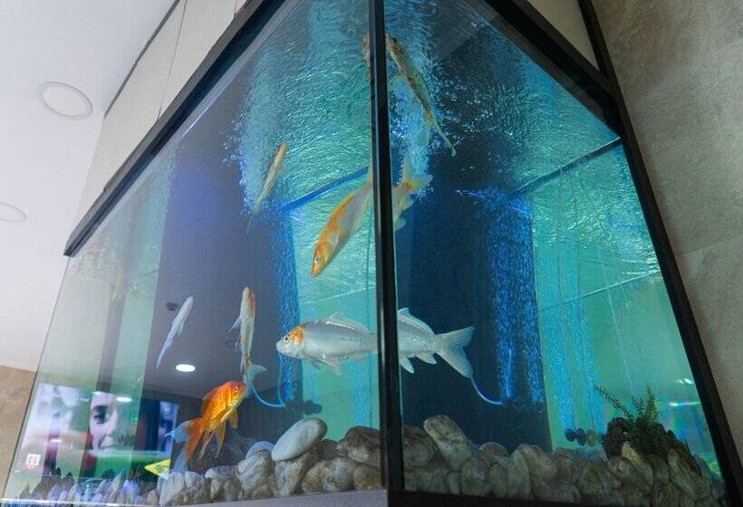 مسافرخانه Residencial Do Areeiro