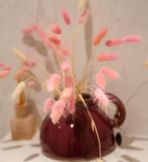 호텔 B&b Elementum