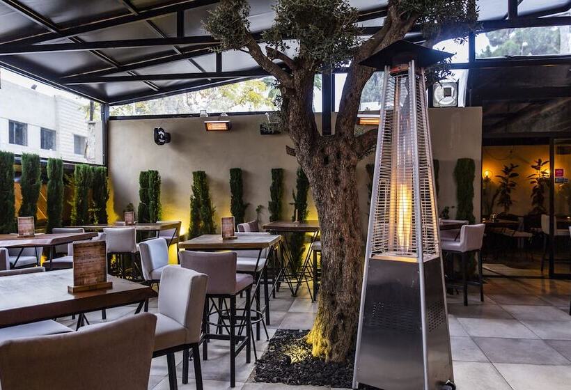 هتل Canary Boutique