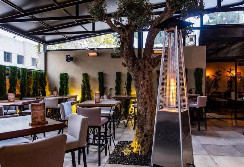 هتل Canary Boutique