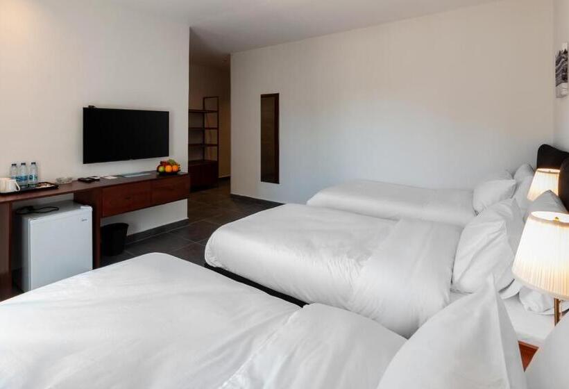 هتل Canary Boutique