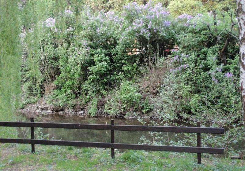 ホテル Du Commerce