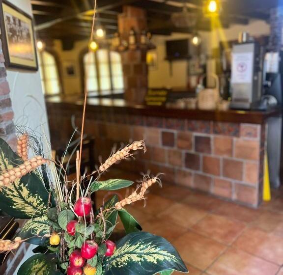 ホテル El Bricial