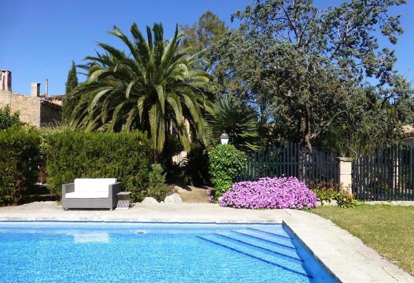 ホテル Finca Raims