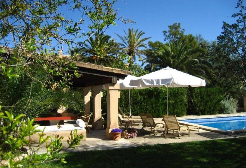 ホテル Finca Raims