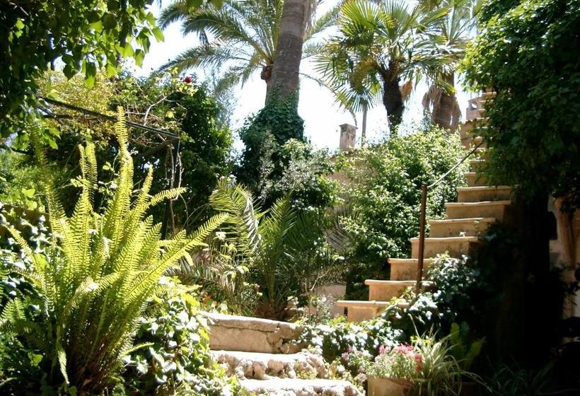 ホテル Finca Raims