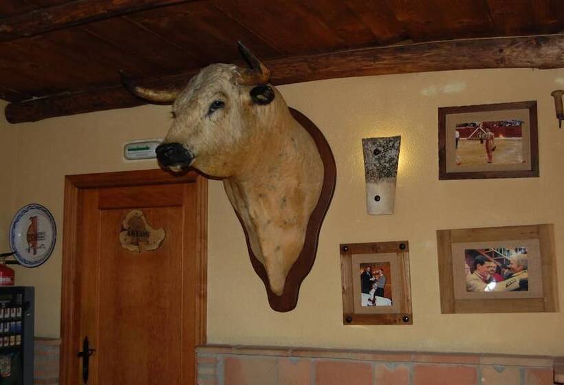 호텔 Hospederia Zacatin