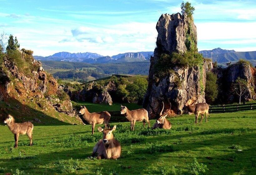 בית מלון כפרי Jardin De Carrejo