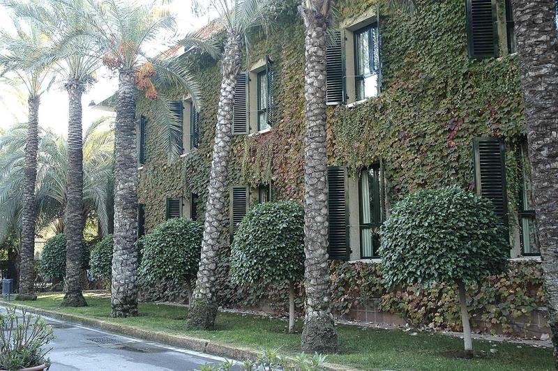 ホテル Jardín Milenio