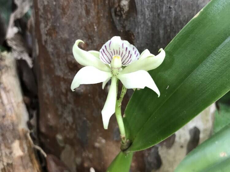 Отель Kekoldi Garden