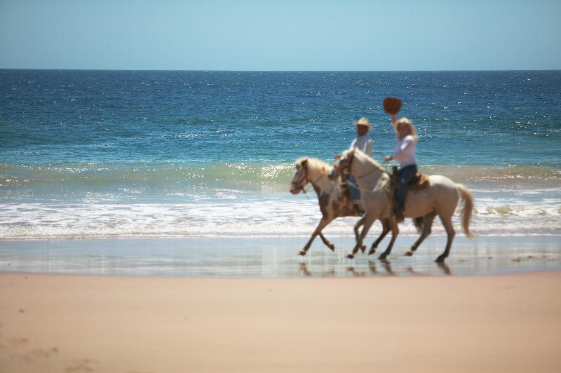 فندق Las Alamandas