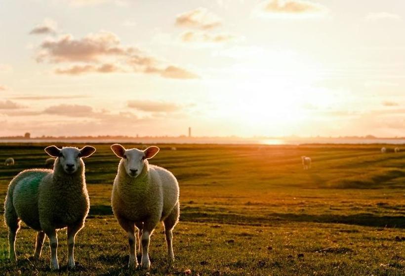 ホテル Und Spa Lundenbergsand