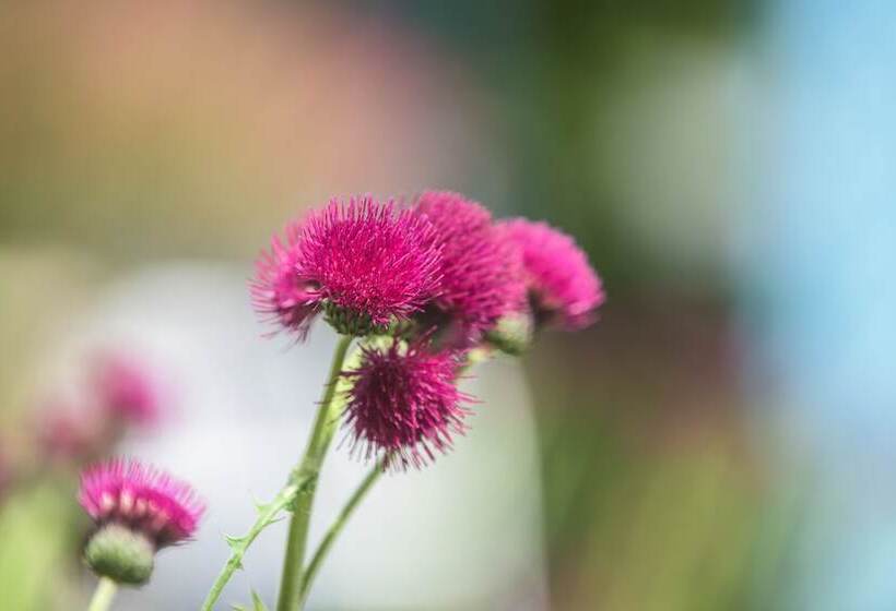 فندق Newby Bridge