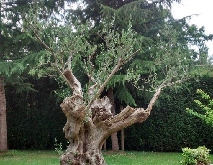 فندق Palacio De La Viñona