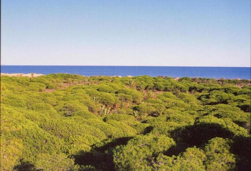 호텔 Parquemar Premium Beach