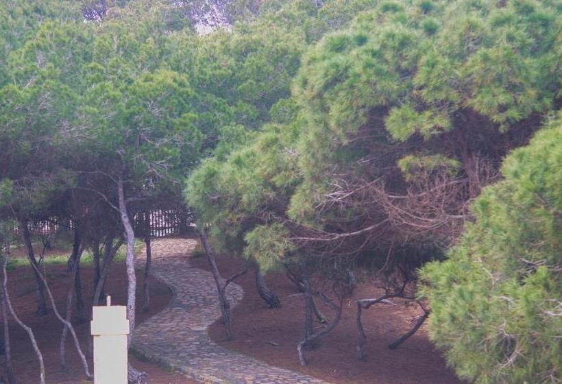 호텔 Parquemar Premium Beach