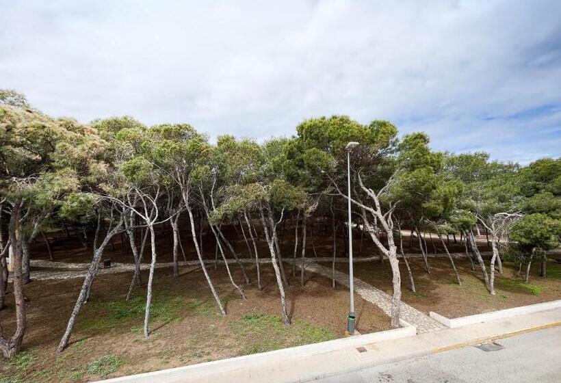 호텔 Parquemar Premium Beach