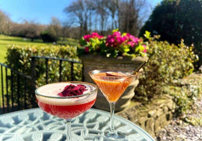 호텔 Plas Dinas Country House