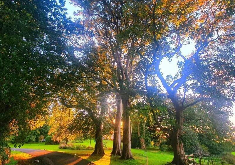 בית מלון כפרי Plas Dinas Country House