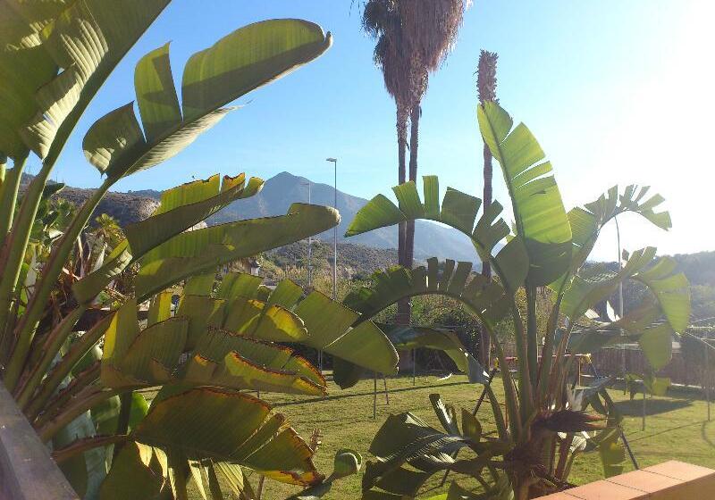 Aparthotel Playamaro