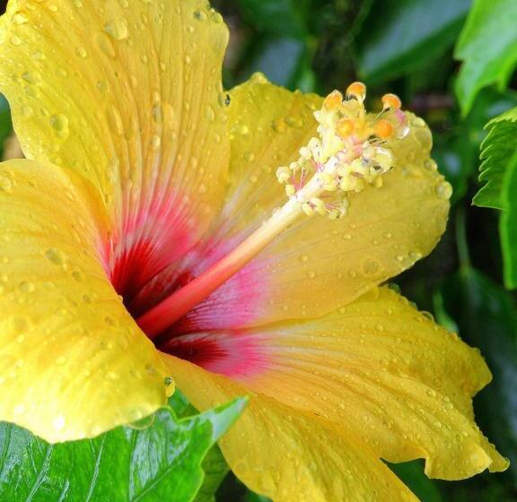 ホテル Puerta Del Mar   Adults Recommended