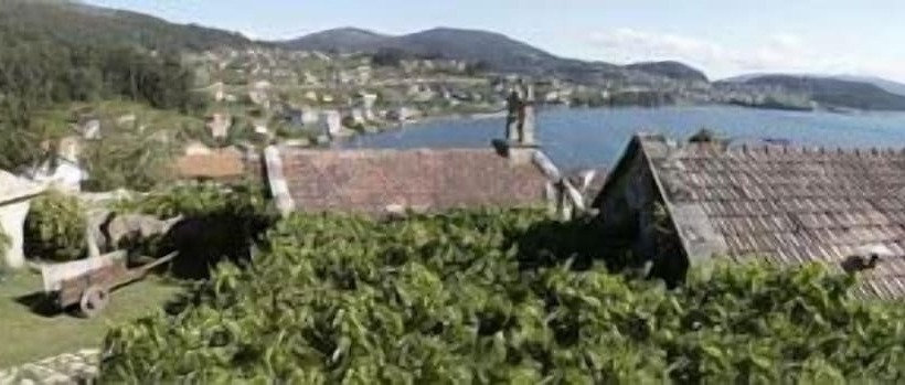 هتل Rectoral De Cobres 1729