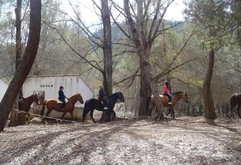 교외 호텔 Complejo Residencial Los Enebros