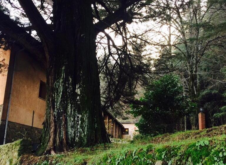 Сельский отель El Jardin Del Conde