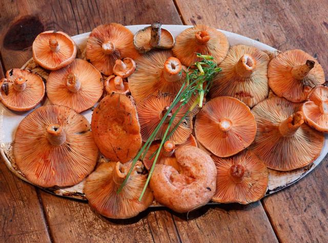 田舎風ホテル Posada Real De Carreteros