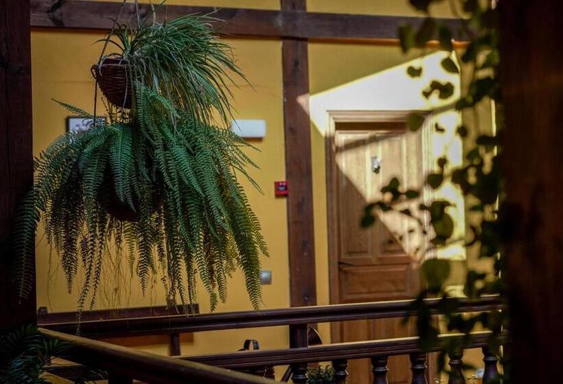 田舎風ホテル Posada Real De Carreteros