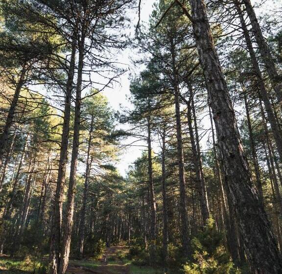 田舎風ホテル Posada Real De Carreteros