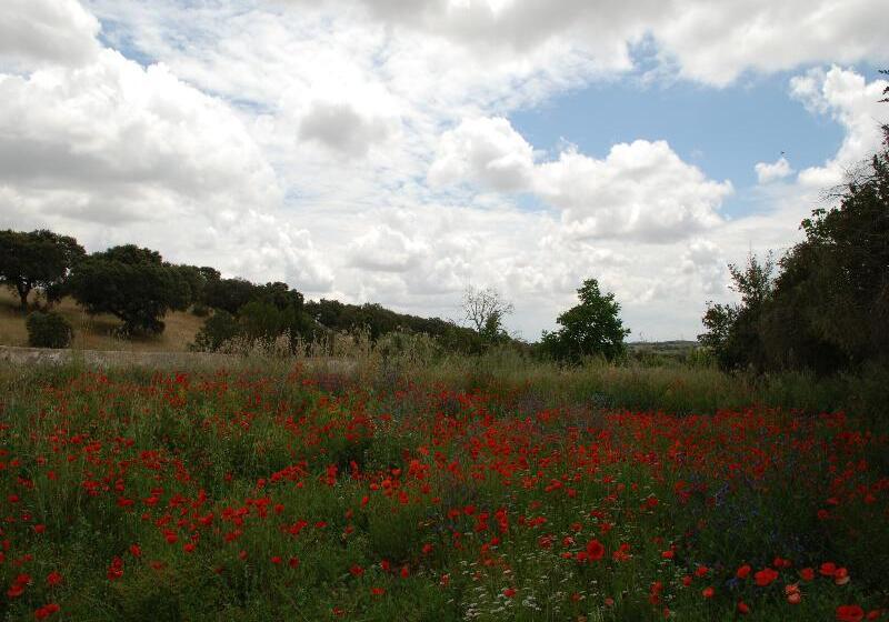 Отель Rural Quinta De Santo Antonio