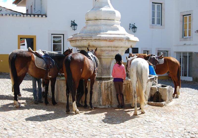 Отель Rural Quinta De Santo Antonio