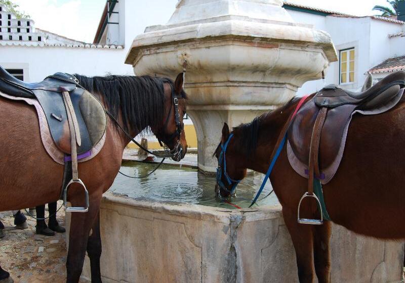 Отель Rural Quinta De Santo Antonio