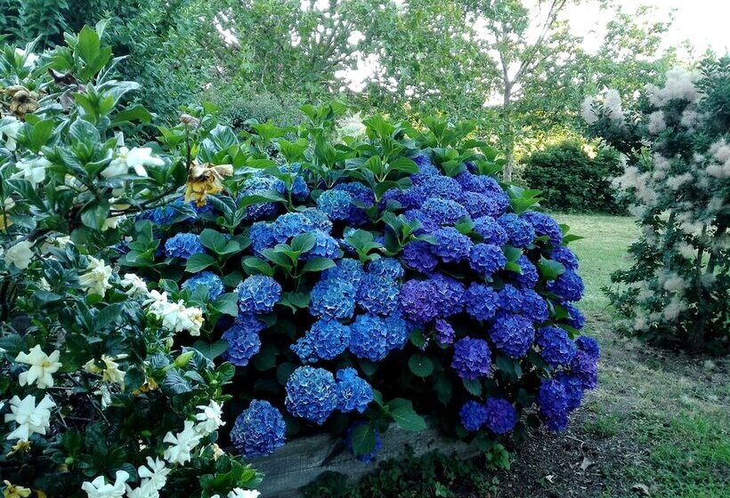 乡村酒店 El Turcal