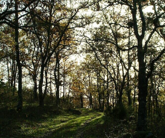 乡村酒店 El Turcal